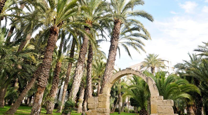 Las mejores barrios de Elche para vivir